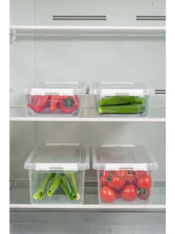 Violeta Home 4er-Set: Vorratsbehälter in Transparent 