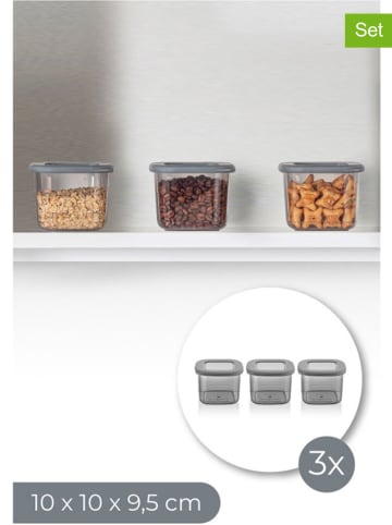 Violeta Home 3er-Set: Vorratsbehälter in Grau - 550 ml