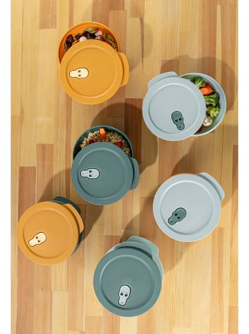 Violeta Home 3er-Set: Vorratsbehälter in Grau/ Grün/ Gelb - (H)6 x Ø 20 cm