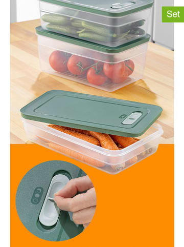 Violeta Home Pojemniki (3 szt.) w kolorze zielonym