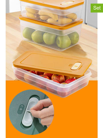 Violeta Home 3er-Set: Vorratsbehälter in Orange