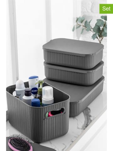 Violeta Home 4er-Set: Make-Up Organizer in Grau