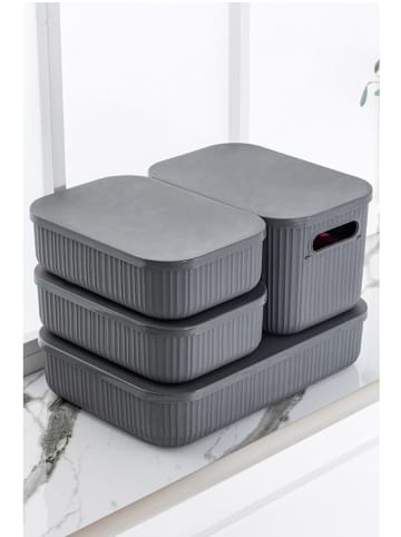 Violeta Home 4er-Set: Make-Up Organizer in Grau