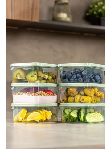 Violeta Home Pojemniki (6 szt.) w kolorze zielonym - 350 ml