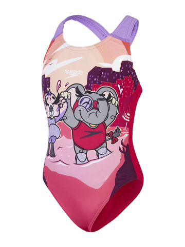 Speedo Badeanzug "Eco LTS"  in Bunt