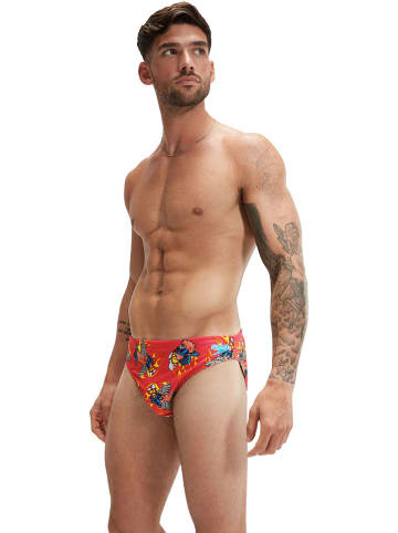 Speedo Zwembroek rood/meerkleurig