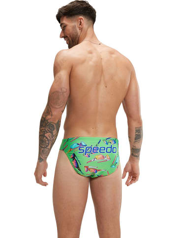 Speedo Zwembroek groen/meerkleurig