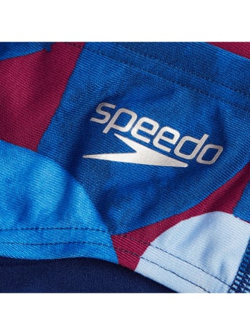 Speedo Kąpielówki "Eco+" w kolorze niebiesko-błękitno-czerwonym