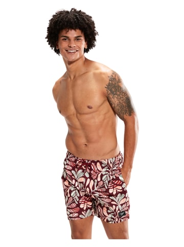 Speedo Badeshorts in Rot/ Bunt