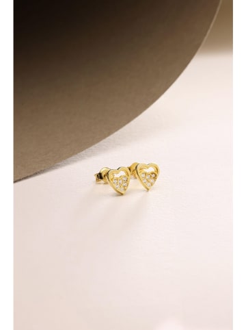 Heliophilia Zilveren oorstekers