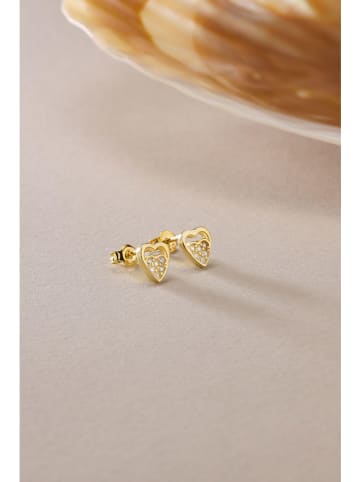 Heliophilia Zilveren oorstekers