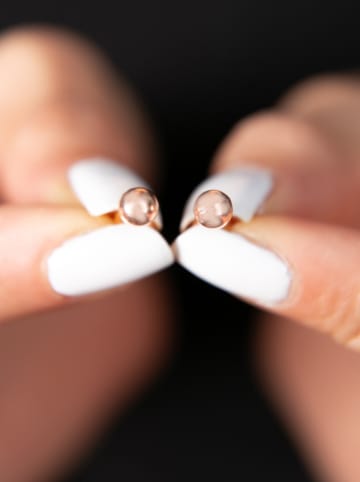 Heliophilia Zilveren oorstekers