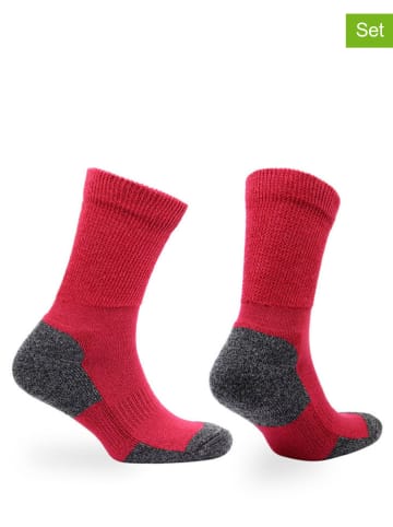 Norfolk 4-delige set: sokken rood