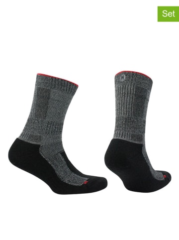 Norfolk 4er-Set: Socken in Grau