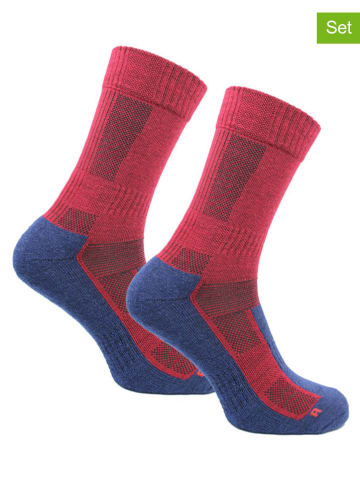 Norfolk 4er-Set: Funktionssocken in Rot