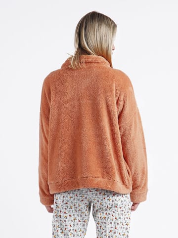 admas Teddyjas oranje