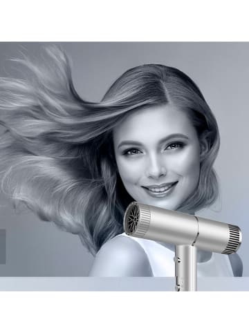 DAM Haardroger zilverkleurig