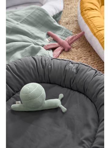 Lässig Rassel " Explorer Snail" - ab Geburt