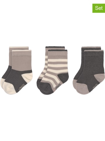 Lässig 3er-Set: Babysocken in Anthrazit/ Hellbraun