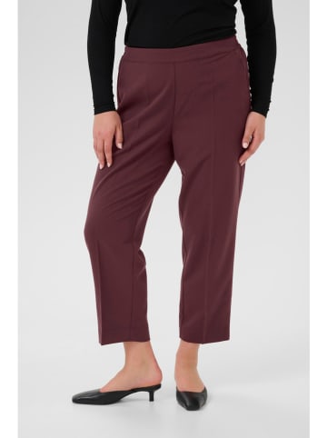 KAFFE curve Hose in Bordeaux