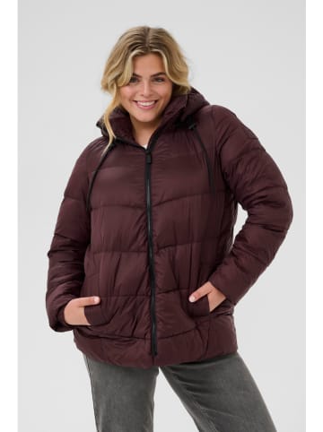 KAFFE curve Winterjacke in Bordeaux