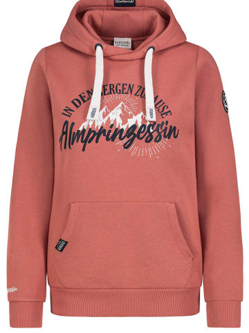 Sublevel Hoodie in Rot