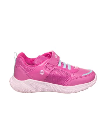Geox Sneakers roze/lichtblauw