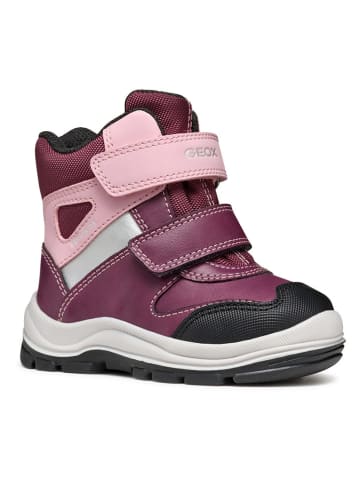 Geox Boots "Flanfil" mauve/lichtroze