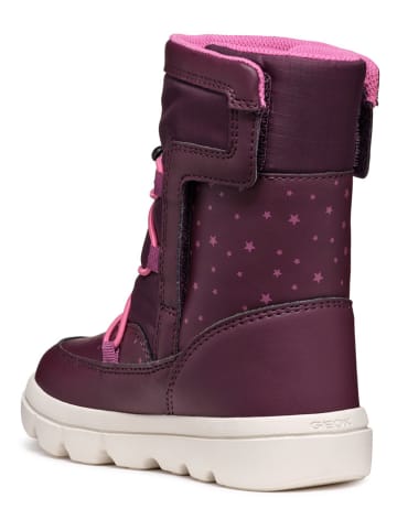 Geox Winterboots "Willaboom" pruimkleurig