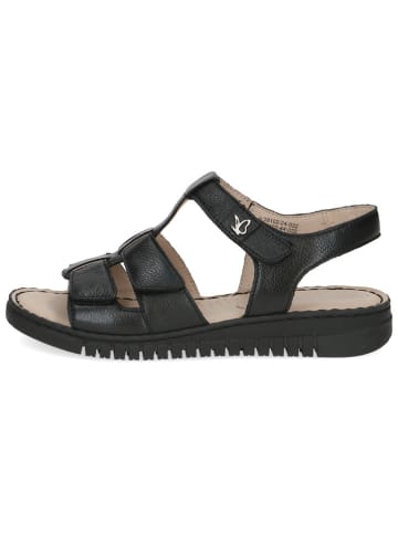 Caprice Leder-Sandalen in Schwarz