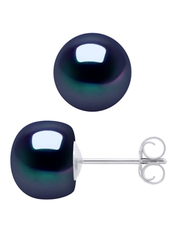 Pearl Addict Perlen-Ohrstecker in Tahitifarben