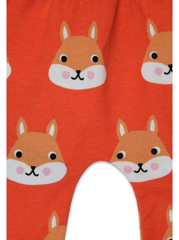 Toby Tiger Sweathose in Rot