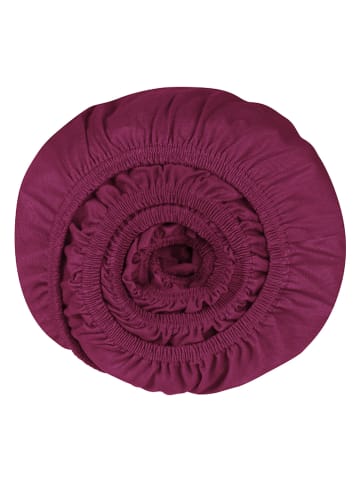 Schiesser Prześcieradło "Elli" w kolorze jagodowym na gumce