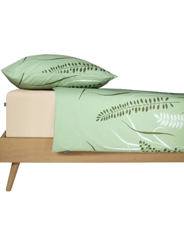 Schiesser Hoeslaken "Elli" crème