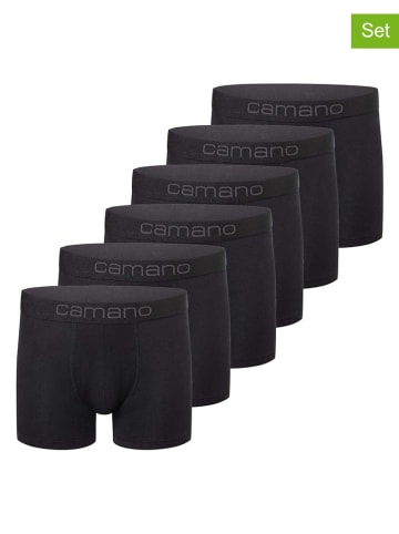 camano 6er-Set: Boxershorts in Schwarz