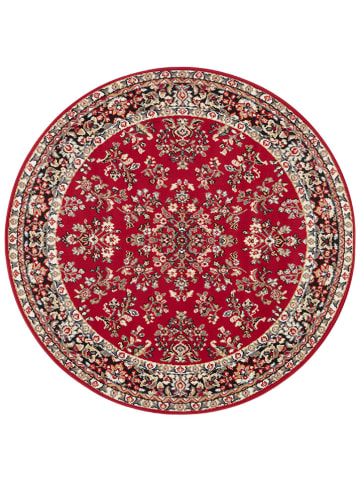 WHITE LABEL Dywan w kolorze czerwonym