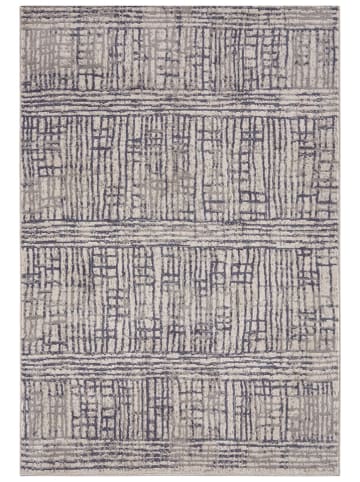 Hanse Home Dywan "Sole" w kolorze kremowo-szarym