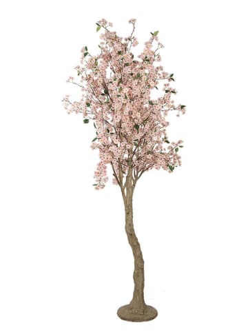 Clayre & Eef Dekobaum in Rosa/ Beige - (B)130 x (H)250 x (T)130 cm