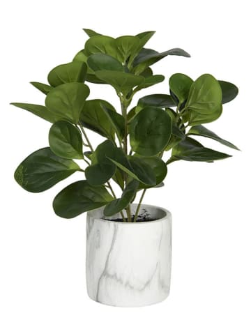 Clayre & Eef Kunstplant groen/wit - (H)32 x Ø 31 cm