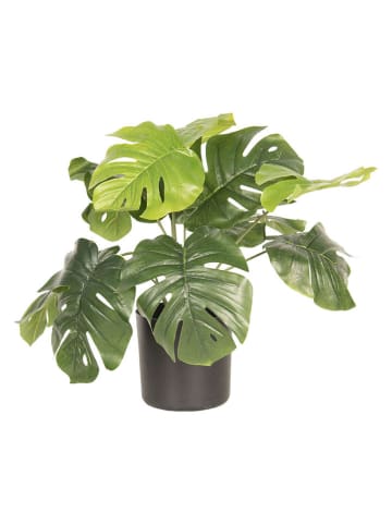 Clayre & Eef Kunstplant groen - (H)40 x Ø 42 cm