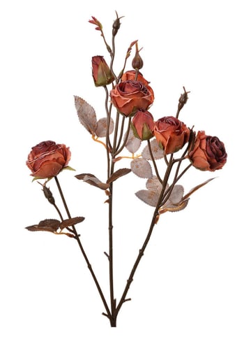 Clayre & Eef Gałązka dekoracyjna w kolorze pomarańczowo-brązowym - 16 x 73 x 9 cm