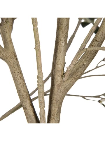 Clayre & Eef Decoboom groen/beige - (B)140 x (H)250 x (D)130 cm