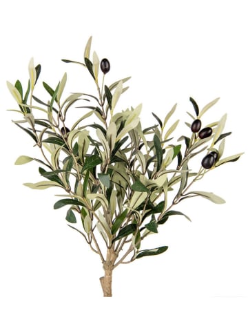 Clayre & Eef Dekobaum in Grün/ Beige - (B)15 x (H)70 x (T)15 cm