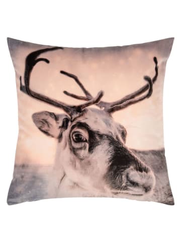 PAD Concept Poszewka "Winter Animal" w kolorze beżowo-brązowym na poduszkę - 45 x 45 cm