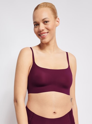 Sloggi Beugelloze beha "ZERO Feel 2.0" bordeaux