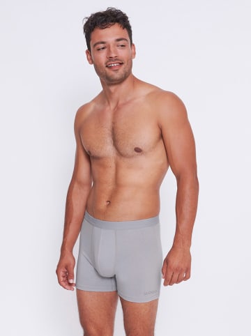 Sloggi 2-delige set: boxershorts lichtgrijs