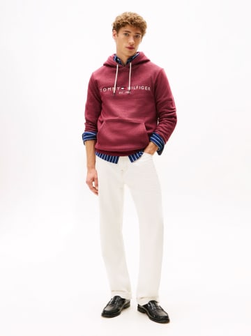 Tommy Hilfiger Hoodie in Bordeaux