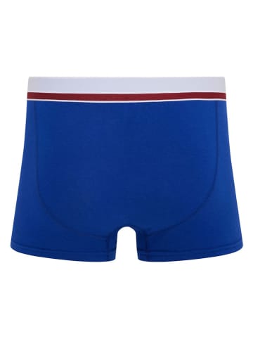 Reebok 3er-Set: Boxershorts "Jaziel" in Grau/ Weiß/ Blau