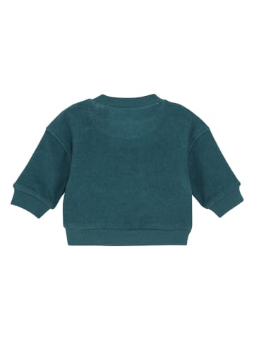 Noppies Sweatshirt groen