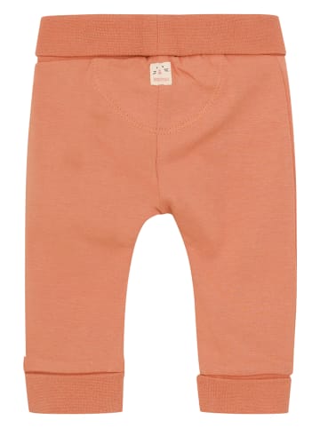 Noppies Broek oranje